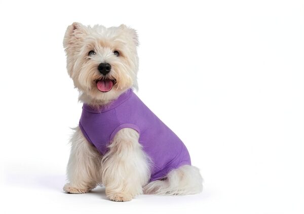 Dog Recovery Suit Coppthinktu Soft Zip Design-5