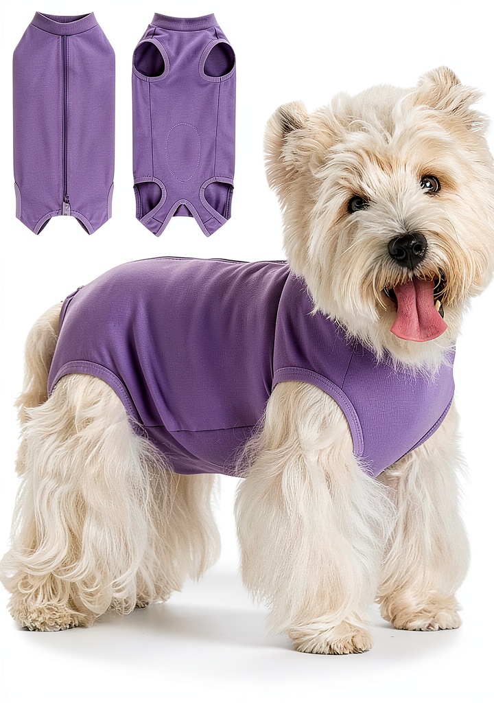 Dog wearing recovery suit at home