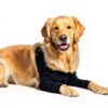 Suitical Double Sleeve for Dogs Recovery-1