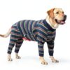 Dotoner Dog Recovery Suit for Spayed Neutered Pets-5
