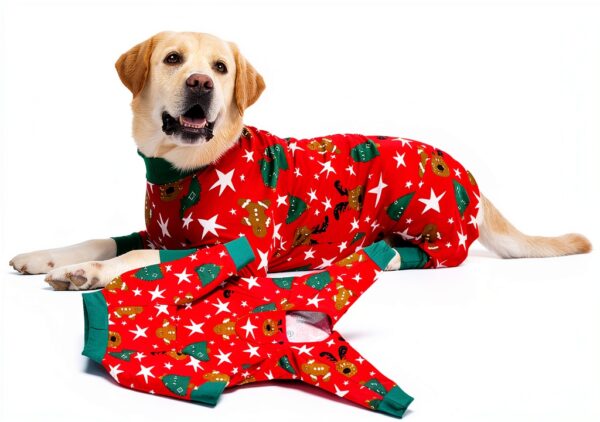 Kzrfojy Dog Recovery Suit for Pets-2