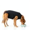 Dog Recovery Suit Suitical Cotton Lycra Fit-3