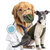LeLePet Dog Recovery Suit breathable milk silk-1