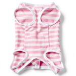 Pet Recovery Suit by Paiaite for Dogs-0