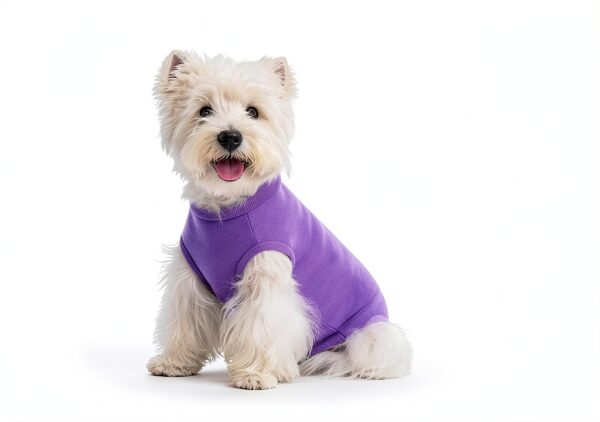 Dog Recovery Suit Coppthinktu Soft Zip Design-3