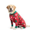 Kzrfojy Dog Recovery Suit for Pets-4