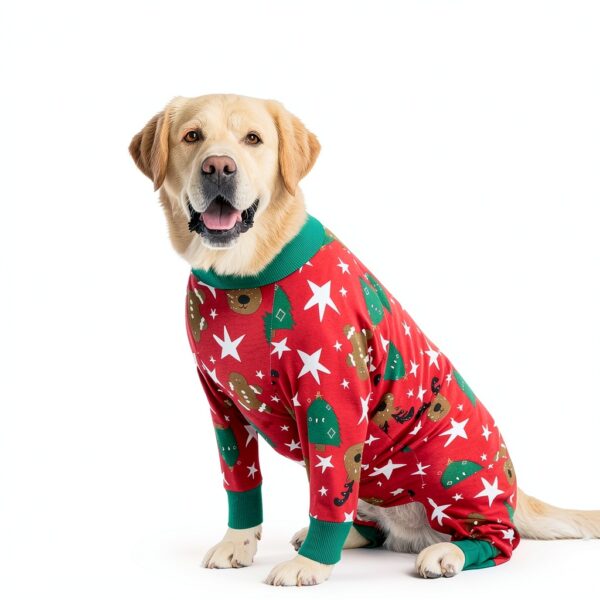 Kzrfojy Dog Recovery Suit for Pets-4