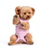 Pet Recovery Suit by Paiaite for Dogs-6