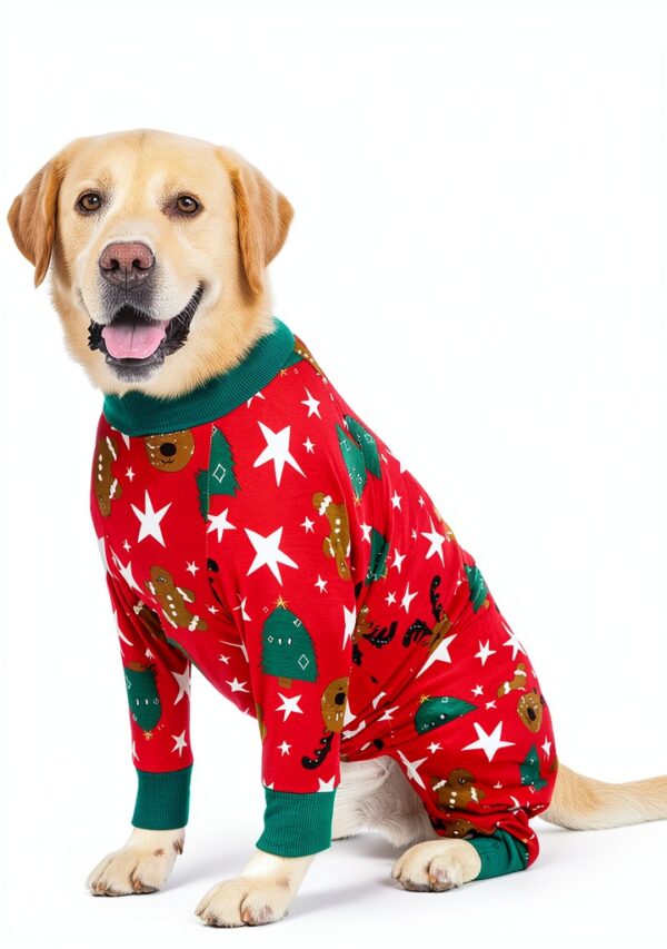 Kzrfojy Dog Recovery Suit for Pets-1