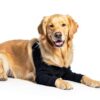 Suitical Double Sleeve Pet Recovery Suits for Dogs-1