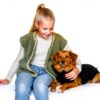 Dog Recovery Suit Suitical Cotton Lycra Fit-1