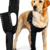 Suitical Double Sleeve for Dogs Recovery-0