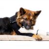 Suitical Dog Leg Sleeve Black Double Sleeve-1