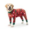 Kzrfojy Dog Recovery Suit for Pets-5