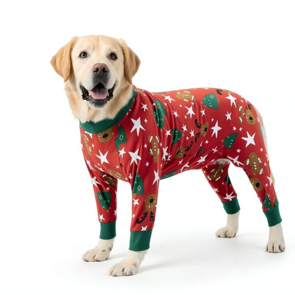 Kzrfojy Dog Recovery Suit for Pets-5