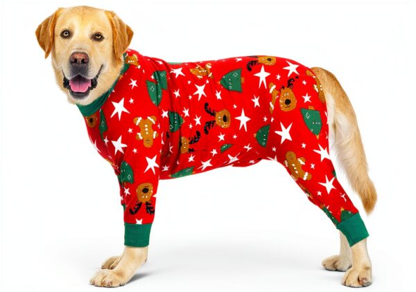 Kzrfojy Dog Recovery Suit for Pets-0